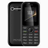 Peaq PMP 12
