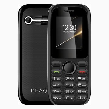 Peaq PMP 12