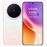 Vivo X300