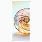 nubia Z60 Ultra