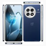 OnePlus 13