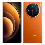 Vivo X100