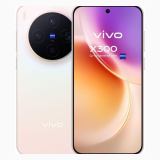 Vivo X300